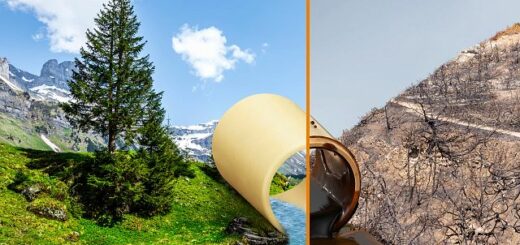 Paisaje dividido entre naturaleza limpia y terreno seco contaminado por un derrame de aceite.